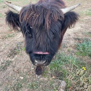 Meet your Posher, Phia